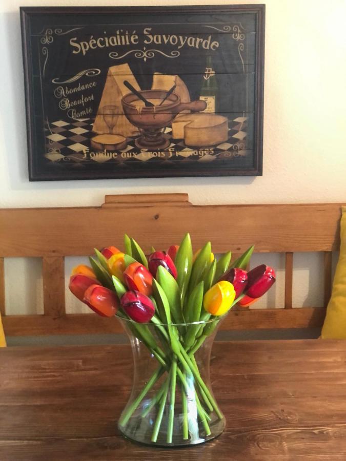 Appartement In De Haute Savoie Saint-Jean-de-Sixt Εξωτερικό φωτογραφία
